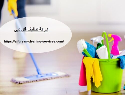 شركة تنظيف فلل دبي |0508036816| تنظيف الفلل