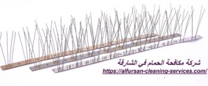 شركة مكافحة الحمام في الشارقة