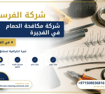 صورة شركة مكافحة الحمام في الفجيرة |0508036816| طارد حمام