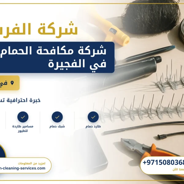 صورة شركة مكافحة الحمام في الفجيرة |0508036816| طارد حمام