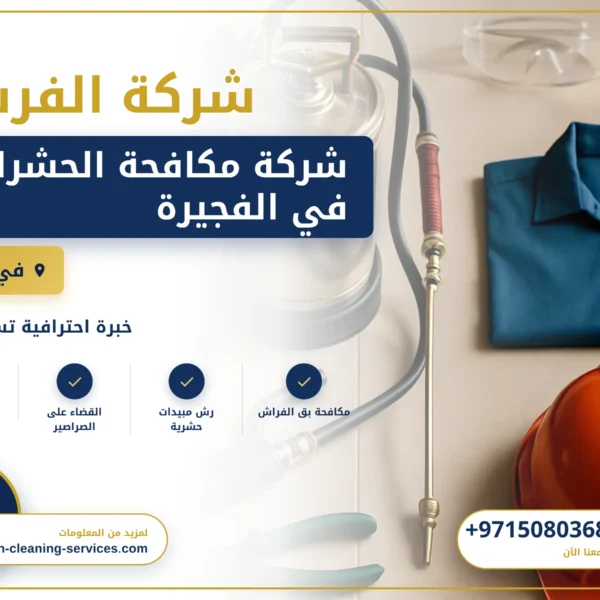 صورة شركة مكافحة الحشرات في الفجيرة |0508036816|ابادة فورية