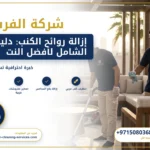 صورة إزالة روائح الكنب: دليلك الشامل لأفضل النتائج